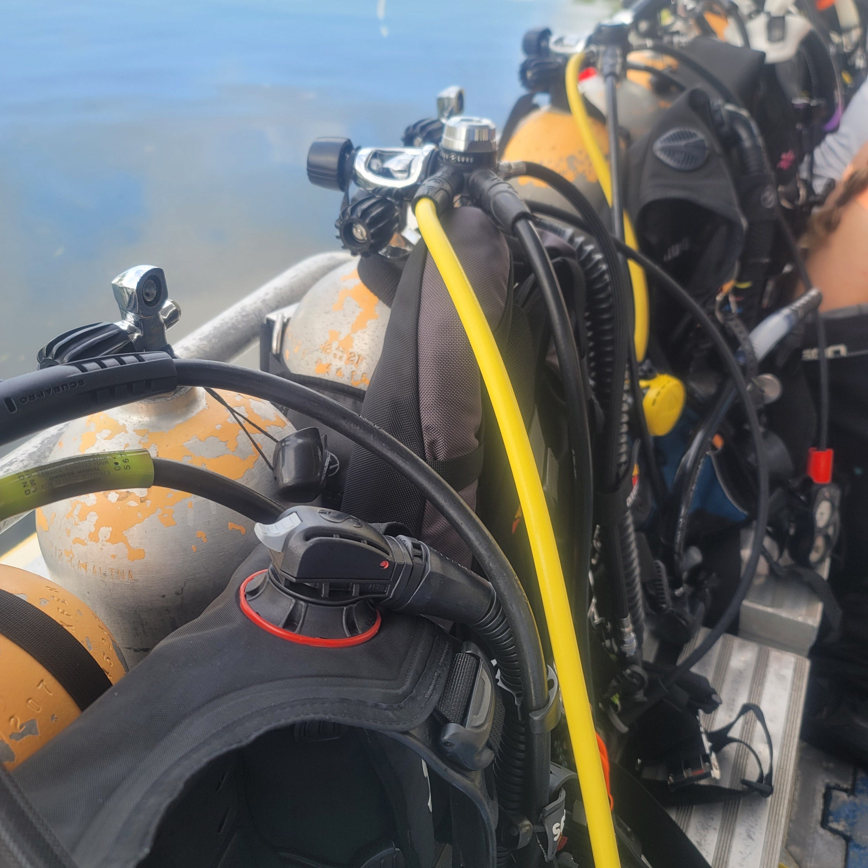 Field Report - A Long Overdue Spring Break in the Florida Keys